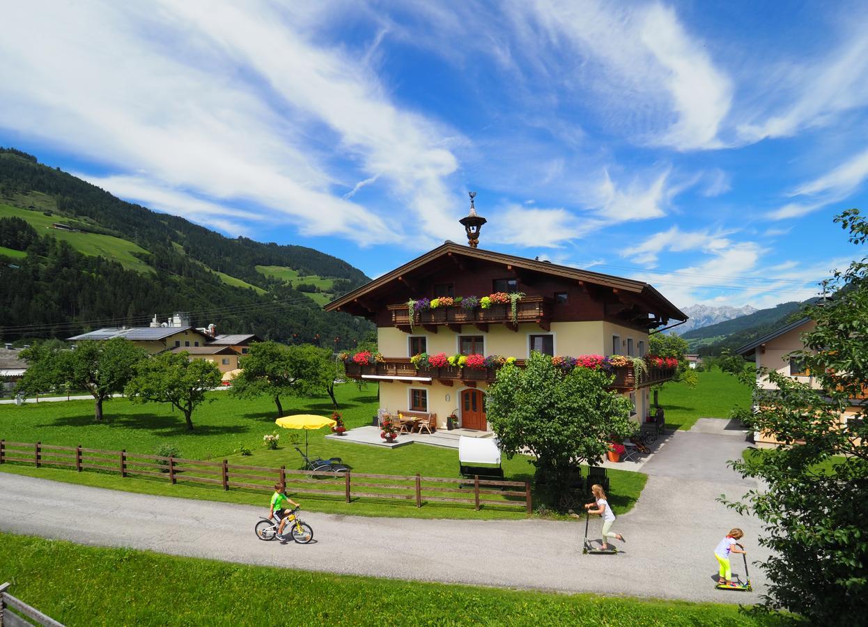 Bio-Bauernhof Reiterhof Villa Sankt Johann im Pongau Luaran gambar
